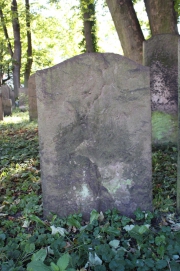 picture 02805-1-2-AF-okt2010.JPG