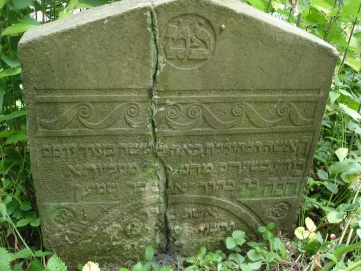 picture 02897-1-1-TB-jul2010.JPG