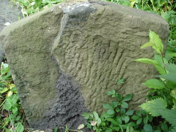 picture 02897-1-2-TB-jul2010.JPG