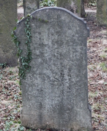 picture 02956-1-2-AF-apr2011.JPG