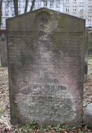 picture 02988-1-1-AF-apr2011.JPG