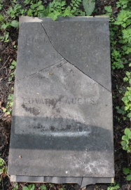 picture 03035-1-1-AF-apr2011.JPG