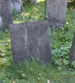 picture 03086-1-2-AF-okt2010.JPG