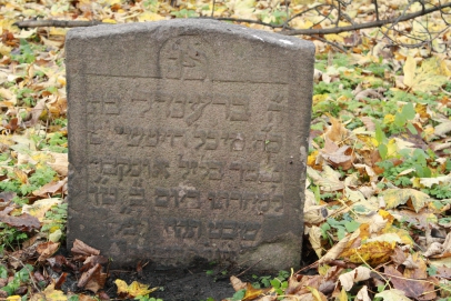 picture 03205-1-1-JP-nov2010.JPG