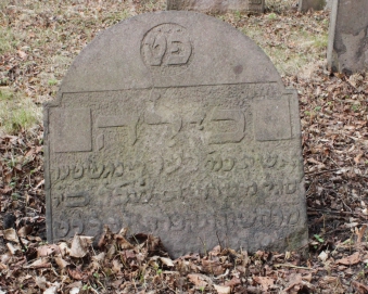 picture 03269-1-1-AF-apr2011.JPG