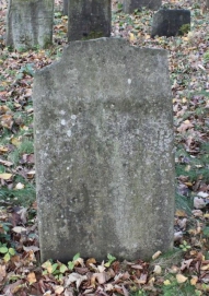 picture 03301-1-1-AF-nov2010.JPG