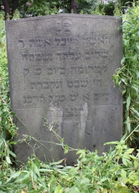 picture 03315-1-1-AF-jun2011.JPG