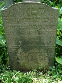 picture 03324-1-1-TB-jun2010.JPG