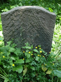 picture 03324-1-2-TB-jun2010.JPG