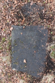 picture 03331-1-1-AF-apr2011.JPG