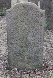 picture 03368-1-2-AF-apr2011.JPG