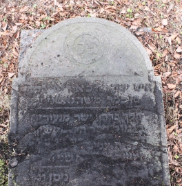 picture 03383-1-2-AF-apr2011.JPG