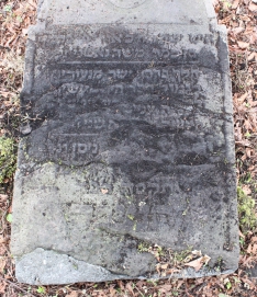 picture 03383-1-3-AF-apr2011.JPG