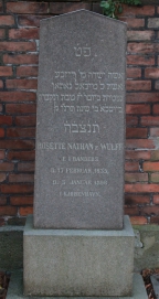 picture 03387-1-1-AF-dec2011.JPG