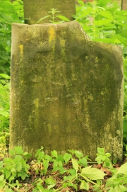 picture 03419-1-1-JP-jun2010.JPG