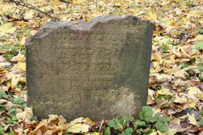 picture 03454-1-1-JP-nov2010.JPG