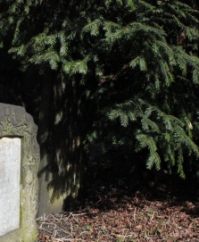 picture 03526-1-2-AF-apr2011.JPG