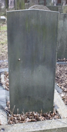 picture 03556-1-2-AF-apr2011.JPG