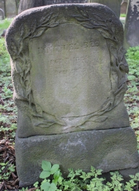 picture 03611-1-1-AF-apr2011.JPG