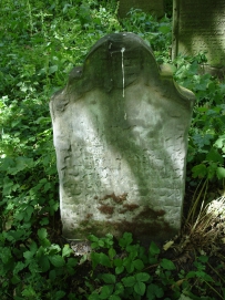 picture 03613-1-1-TB-jul2010.JPG