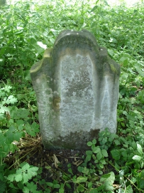 picture 03613-1-2-TB-jul2010.JPG