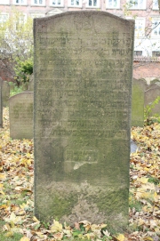 picture 03622-1-1-JP-nov2010.JPG