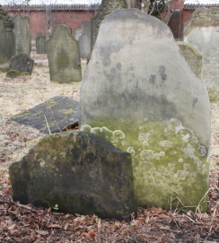 picture 03632-1-1-AF-apr2011.JPG