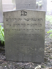 picture 03644-1-1-AF-aug2011.JPG