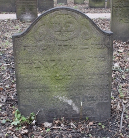 picture 03666-1-1-AF-apr2011.JPG