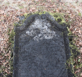 picture 03697-1-2-AF-apr2011.JPG