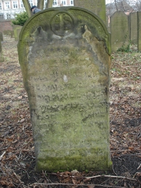 picture 03738-1-1-TB-apr2011.JPG