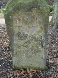 picture 03738-1-2-TB-apr2011.JPG