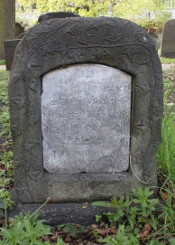 picture 03739-1-1-AF-apr2011.JPG