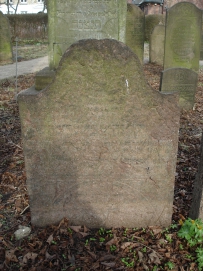 picture 03740-1-1-TB-apr2011.JPG