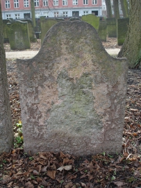 picture 03740-1-2-TB-apr2011.JPG