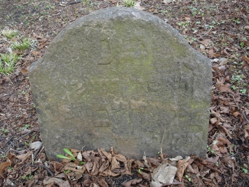 picture 03844-1-1-TB-apr2011.JPG