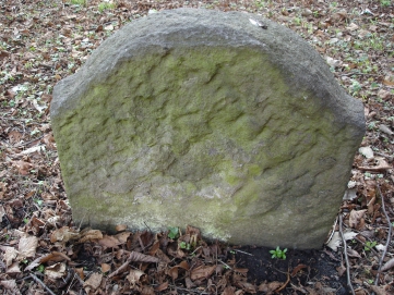 picture 03844-1-2-TB-apr2011.JPG