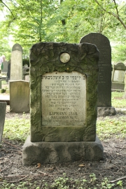 picture 03868-1-1-JP-aug2011.JPG