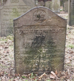 picture 03872-1-1-AF-apr2011.JPG