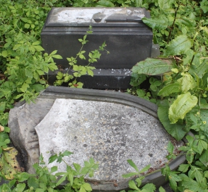 picture 03900-1-1-AF-jun2011.JPG