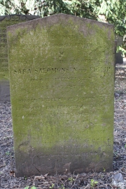 picture 03907-1-1-AF-apr2011.JPG