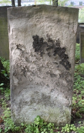 picture 03977-1-1-AF-apr2011.JPG