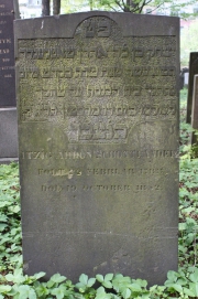 picture 03979-1-1-AF-apr2011.JPG