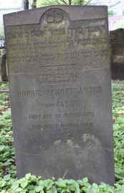 picture 03986-1-1-AF-apr2011.JPG