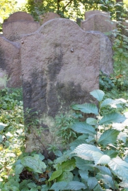 picture 04029-1-2-AF-okt2010.JPG