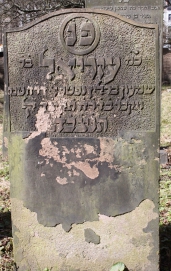 picture 04066-1-1-AF-apr2011.JPG