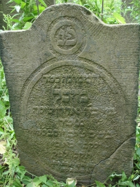 picture 04121-1-1-TB-jul2010.JPG