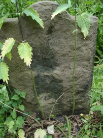 picture 04121-1-2-TB-jul2010.JPG