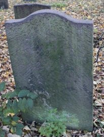 picture 04222-1-2-AF-nov2010.JPG