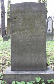 picture 04303-1-1-AF-apr2011.JPG